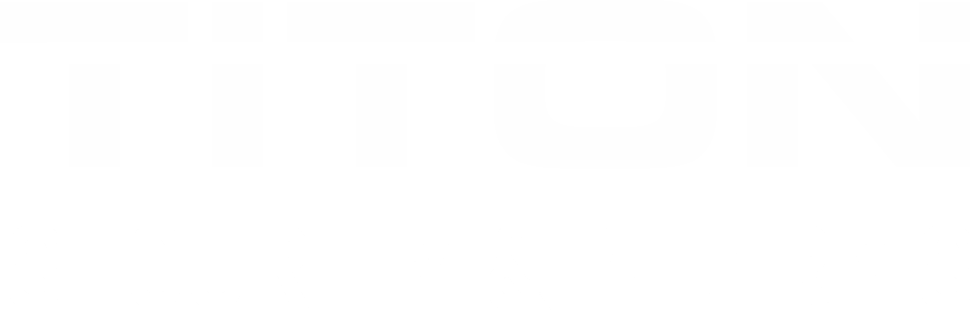 Titon Security & Alarms